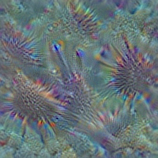 n02319095 sea urchin